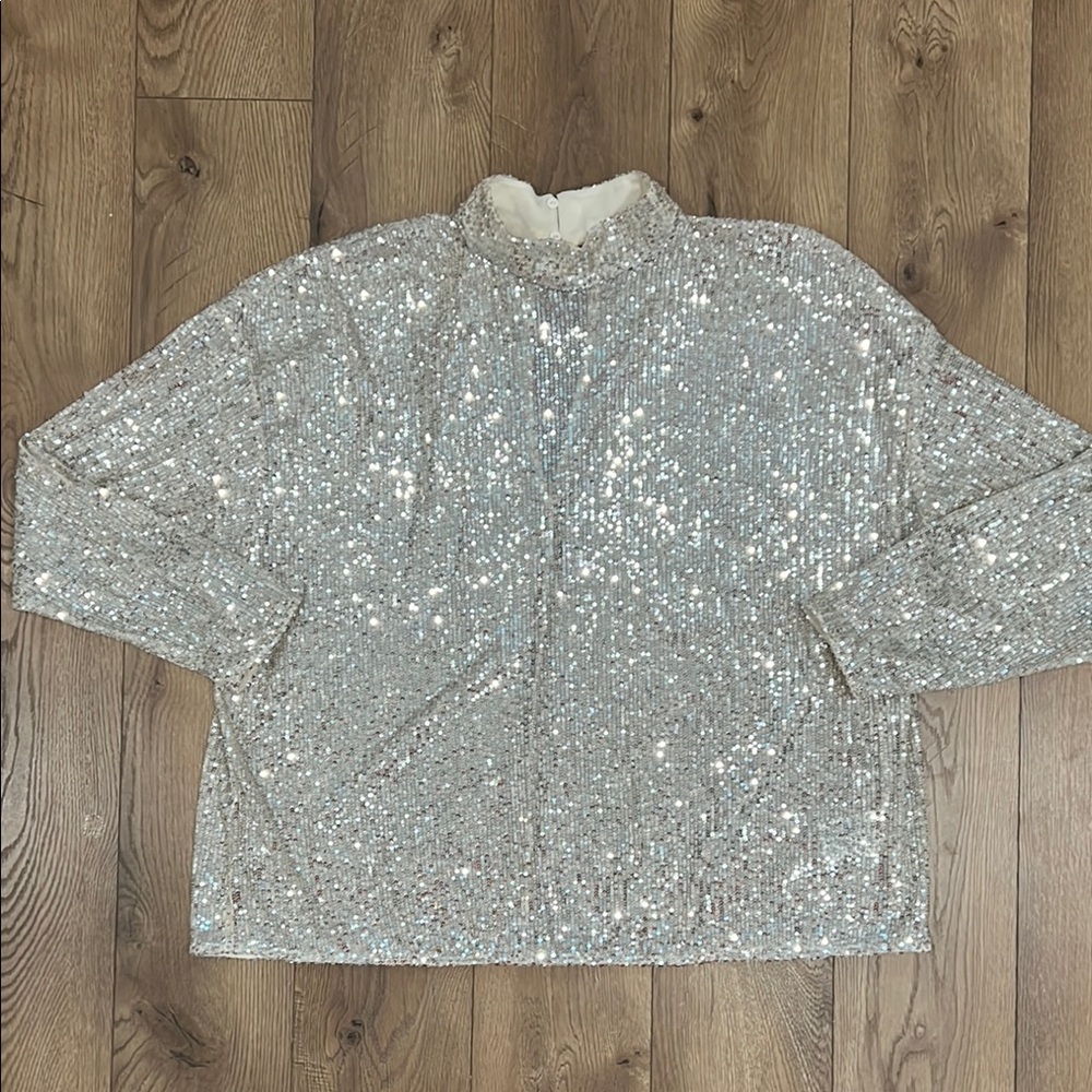 H&M Silver Sequin Top